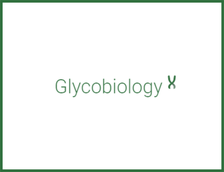 NZYTech Glycobiology2.png